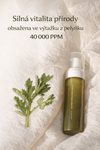 FRAIJOUR – Original Artemisia Bubble Foam 200 ml – Zklidňující čisticí pěna s pelyňkem