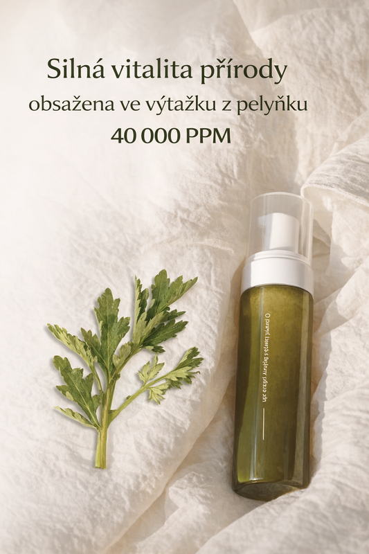 FRAIJOUR – Original Artemisia Bubble Foam 200 ml – Zklidňující čisticí pěna s pelyňkem